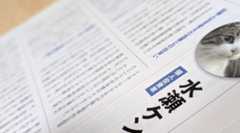 「ジャパニーズ インベスター 2025 Winter No.127」に私水瀬ケンイチのコラムが掲載