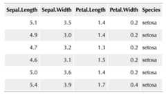 A striped table created with HTML and CSS.