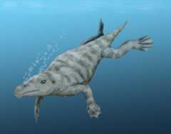 Georgiacetus vogtlensis