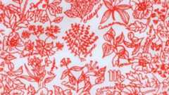 Frankie Welch’s Americana