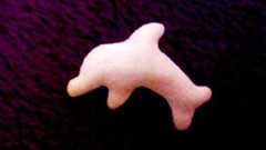 おっとっと、イルカの製造を中止 環境団体が抗議