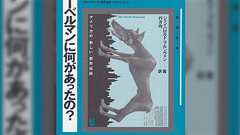 現実とは無関係に「体感治安」だけを悪化させる流言飛語がTwitter上で流布している現象の研究について