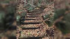 祖父がかつて山奥に別宅を建てていた。親族すら記憶にない別荘が果たして今どうなっているのかと曖昧な情報を頼りに山に入ってみた