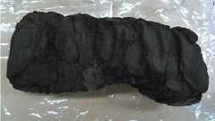 黒焦げになった2000年前の巻物、新技術で中身を解読