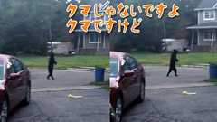 もうそれクマじゃないです。二足歩行が人間並のクマ、民家のまわりをスタスタ歩く。(アメリカ) | カラパイア