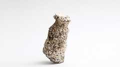 セミのでてきた穴を型取りして形を調べる