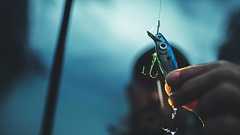 なぜ池の水を全部抜いたのに、外来種がまた増えるのか…密放流という「環境テロ」を繰り返す釣り人の罪 個人的な楽しみのために、地域の生態系を破壊