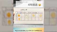 『4年間直射日光の当たる場所にUVレジン置いてみた』7商品での実験が作る側も買う側も参考になる「お高いだけある!」