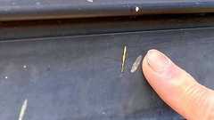 「精神的に参る」 4~5年前から増えた黄色いポツポツ 車や洗濯物に付着 行政も分からなかった原因とは | あなたのナゼにココホル取材班 | 沖縄タイムス+プラス