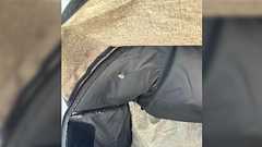 自転車のチャイルドシートの内側に蜂の巣作られてた。子どもたち乗せる前に確認してよかった→見つけたらどうする?対策も寄せられる