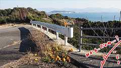 松山には道路にみかんが転がっている島がある~地元の人頼りの旅 in 愛媛県松山市~