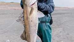 tomo on Twitter: "こうなったら釣りはやめ時。 https://t.co/hMT92ERRAS"