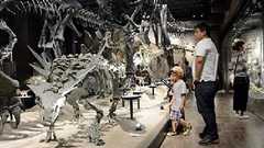 恐竜“大行進”に歓声 御船町の博物館が再開