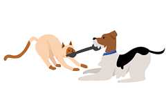 Tailwind vs Linaria: Performance Investigation