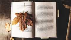 大学のタテマエをホンネに変えさせる文科省の改革 「三つのポリシー」は大学教育をどこに導くか?(1) | JBpress (ジェイビープレス)