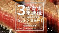 泉佐野市ふるさと納税特設サイト「さのちょく」