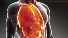 人体で最大、新しい「器官」を発見? 米研究