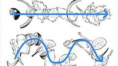 イラストレーター騒然! 「高品質なサラダの絵を一瞬で描けるブラシ」が話題に | ねとらぼ