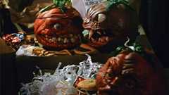 トマトは虫に食われた葉から毒性物質を放出し、周辺の虫を撃退している(京都大学研究) | カラパイア