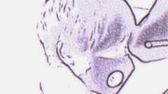 ろじ on Twitter: "民進小川「安倍政権でエンゲル係数が上昇している」 安倍「食への消費が拡大し景気回復したということ」 安倍ちゃん、ついにエンゲル係数を景気回復の指標にしてしまった模様。エンゲル係数が上がるほど好景気。エンゲルの法則ガン無視。経済… https://t.co/dZh0y13yfd"