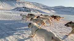 何でもやれると勘違いしやすい…「43歳」に多くの冒険家が命を落とすのは偶然ではない それでも私を北極に向かわせた「焦燥感」の正体