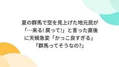 夏の群馬で空を見上げた地元民が「…来る! 戻って!」と言った直後に天候急変「かっこ良すぎる」「群馬ってそうなの?」