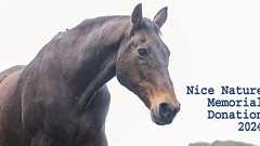 「ナイスネイチャ・メモリアルドネーション 2024」たくさんのご支援をありがとうございました|認定NPO法人引退馬協会