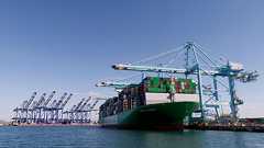 トランプ氏の関税は「違法な3兆ドル増税」、米最高裁が最終判断へ