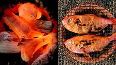 キンメもほろほろに。土佐備長炭を復活させた〈炭玄〉の熱い炭焼きストーリー