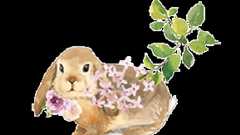 東京都写真美術館に送付したメールの内容