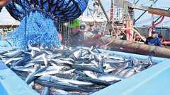 総合商社「三菱商事」が千葉・銚子に支店を出した…疲弊する地方都市で何を仕掛けている?:東京新聞デジタル