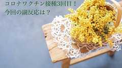 コロナワクチン接種3回目!今回の副反応は? : ゆとりあるシンプルな暮らし Powered by ライブドアブログ