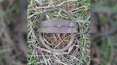 【注意】東京都足立区某所の子供も遊ぶ場所に仕掛けられたトラバサミが発見