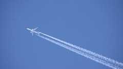 何も考えてない奴の特徴wwwwwwwwwwwwwwwwwwwww : 稲妻速報