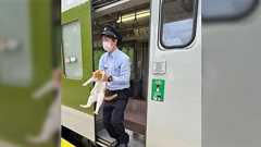 釜石線は猫による無賃乗車対応の為、30秒遅れです→「猫に転生したのを忘れたサラリーマンの可能性」