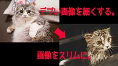 今すぐページ表示速度アップ!画像圧縮サービスはどれがいいかの結論。