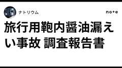 旅行用鞄内醤油漏えい事故 調査報告書|ナトリウム