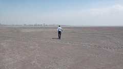 「歯が抜ける村」中国レアアース汚染の実態 ◇内モンゴル自治区現地報告 宮崎紀秀