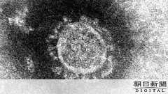 京都で20代男性の感染確認 1日300人の観光客接客:朝日新聞デジタル