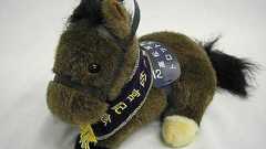 自民・二階の息子が市長選で惨敗+島尻に反論+1日1千万・辺野古警備利権 | 日本がアブナイ!