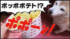 伝説のポッポポテトをいつでもポポーン!