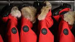 カナダグース、毛皮の使用停止へ