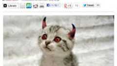 ニュージーランドで「ネコ追放」運動…ウェブサイトで飼いネコの安楽死を推奨 : 痛いニュース(ノ∀`)