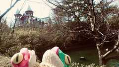 「嫌知らず」な男たち