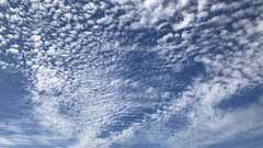 ツイッターで野党攻撃の匿名アカ…正体は「法人」だった | FRIDAYデジタル