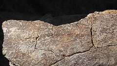 人類の米大陸到達は「13万年前」 定説大幅にさかのぼる