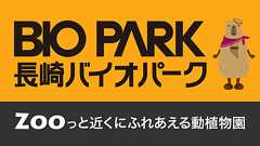 スナネコの赤ちゃん誕生&公開| 長崎バイオパーク - ZOOっと近くにふれあえる九州の動物園&植物園