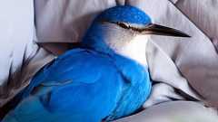 Twitter、休眠アカウント15億を削除しユーザー名を開放へ。長期間ログインなしの利用者は注意 | テクノエッジ TechnoEdge