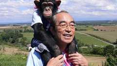 『志村どうぶつ園』VTRでパンくんは「恐怖に震えて…」霊長類学者が警告! | 週刊女性PRIME