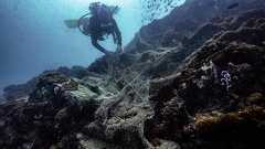 「幽霊」漁網回収で一石二鳥、生物保護とコロナ対策 タイの新事業